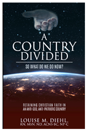 A Country Divided - by Louise Diehl